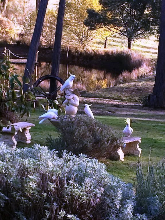 Countryside Retreat Romantic Tranquil Native Wildlife Township Hepburn - Daylesford Хепбёрн-Спрингс Экстерьер фото