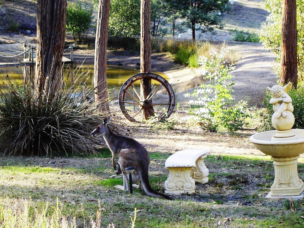 Countryside Retreat Romantic Tranquil Native Wildlife Township Hepburn - Daylesford Хепбёрн-Спрингс Экстерьер фото