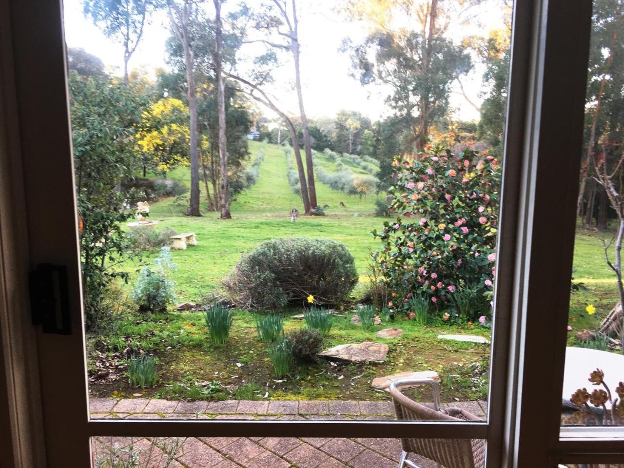 Countryside Retreat Romantic Tranquil Native Wildlife Township Hepburn - Daylesford Хепбёрн-Спрингс Экстерьер фото