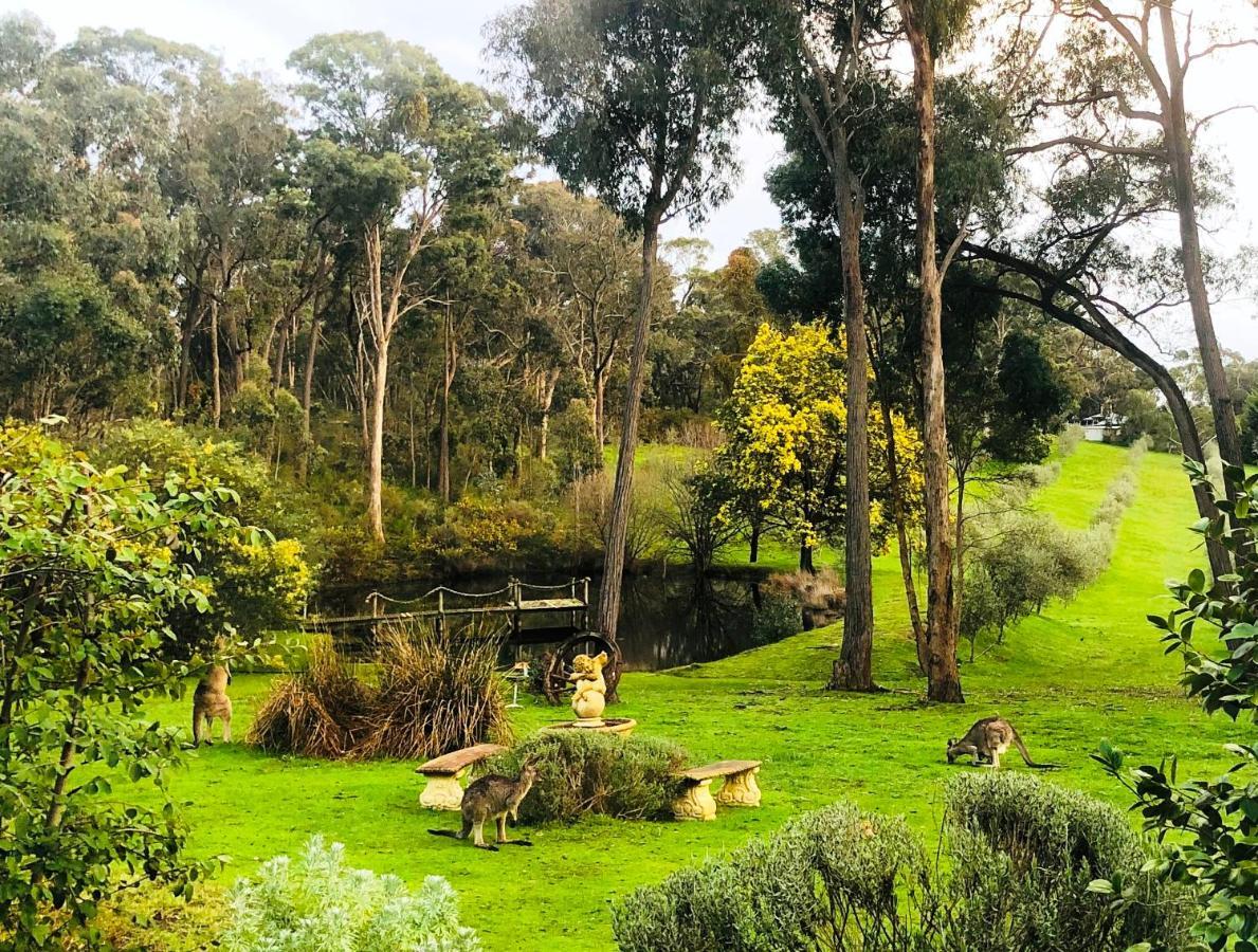 Countryside Retreat Romantic Tranquil Native Wildlife Township Hepburn - Daylesford Хепбёрн-Спрингс Экстерьер фото